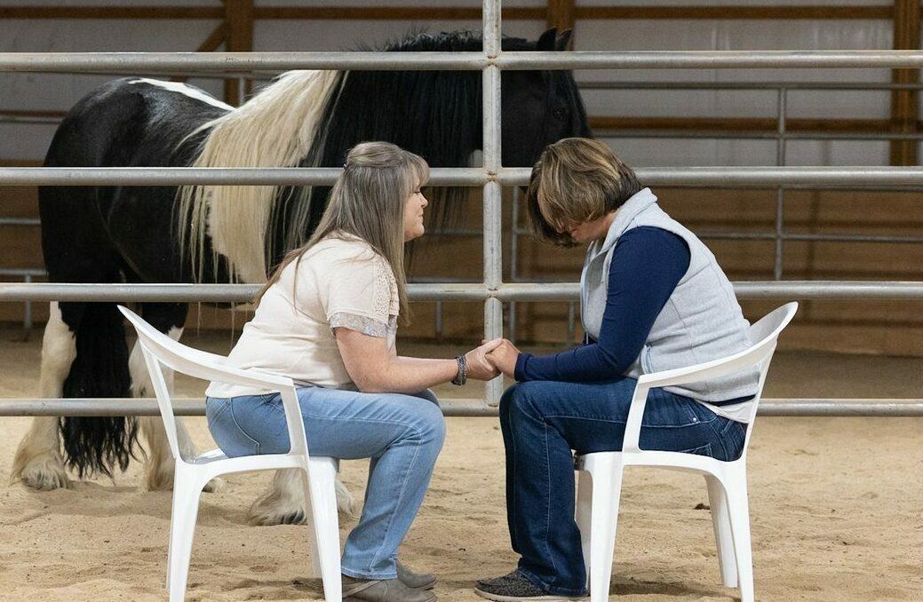 Individual Equine Gestalt Coaching Session 