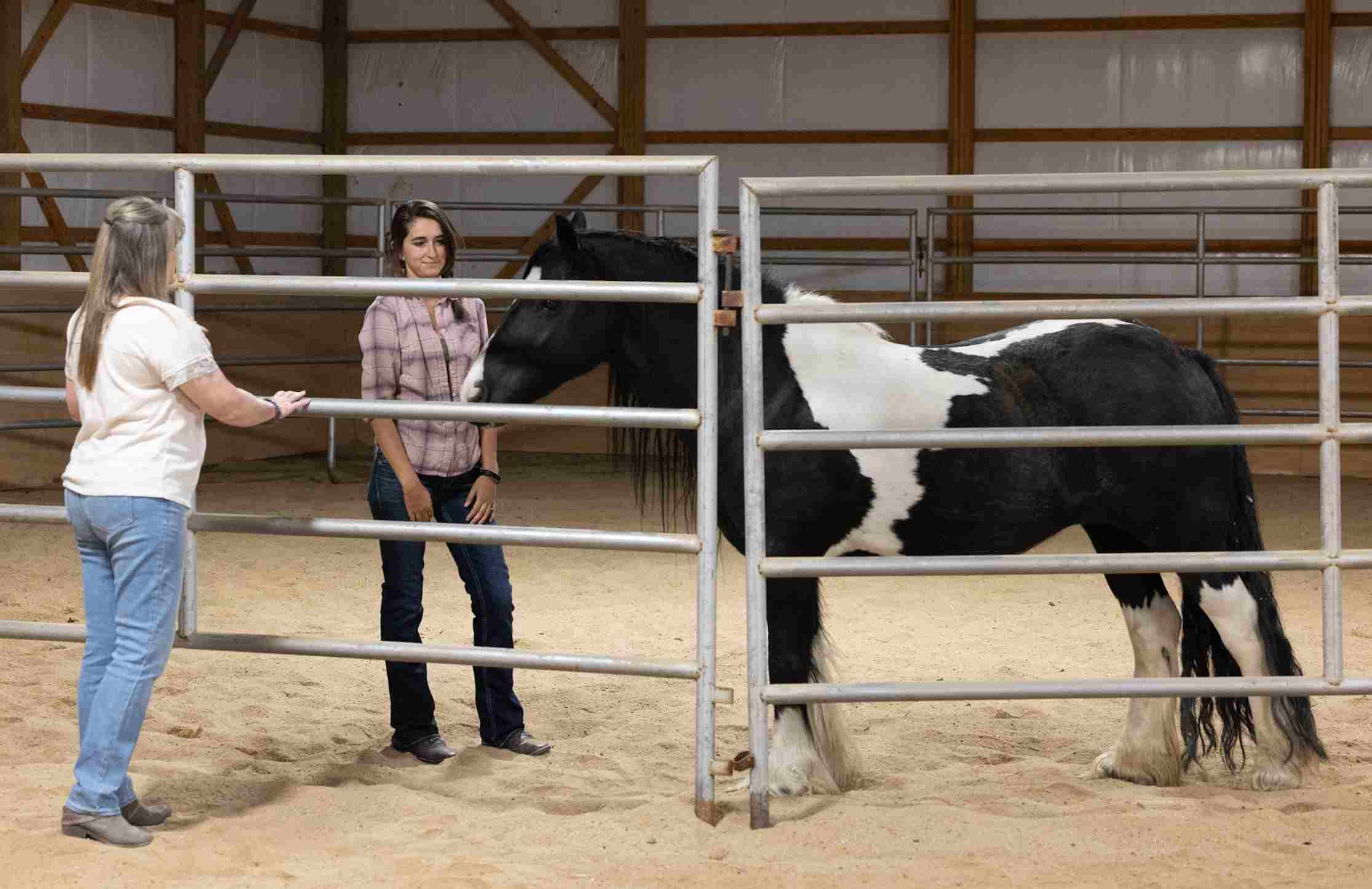 Gestalt session in round pen